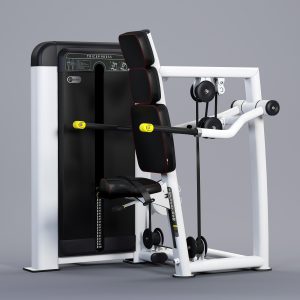 Pulse 370H Tricep Press 2