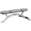 Hoist CF-3163 Flat Bench